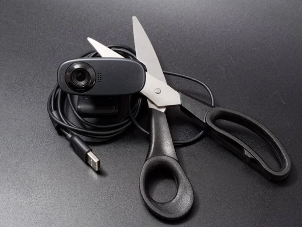 webcam with damaged scissors cable. personal space no tracking 2020