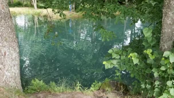 Eslavgorod Reserva Humedales Belarus Krinitsa Azul Fuente Agua Potable — Vídeos de Stock