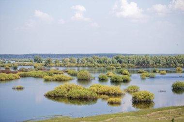 Bahar. sel ovası bir nehirle doldu.