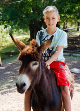 boy riding a donkey in the village 2020 clipart