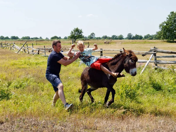 Junge Reitet Auf Einem Esel Dorf 2020 — Stockfoto