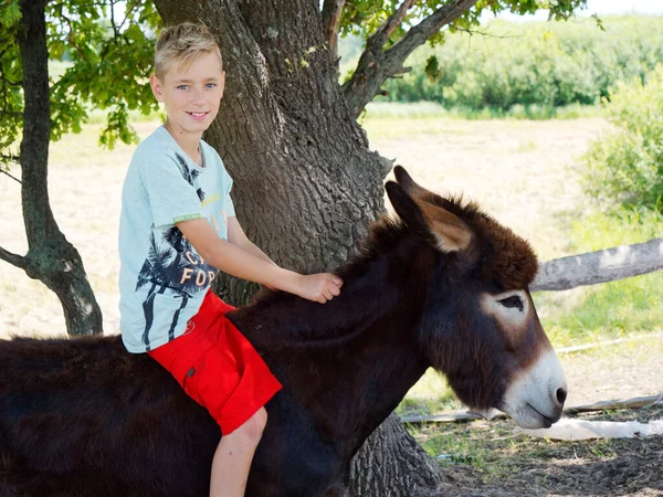 boy riding a donkey in the village 2020