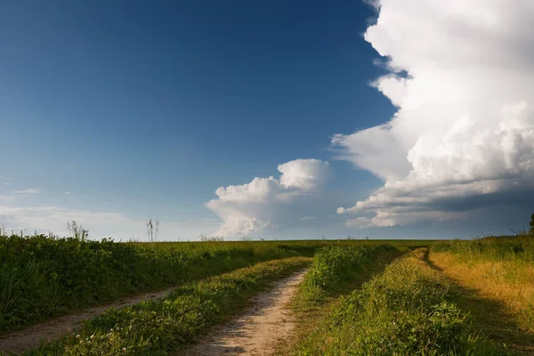 Camino Campo Bajo Cielo Azul Con Nubes 2020 —  Fotos de Stock