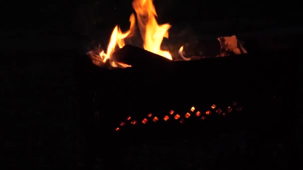 Železná Ohniště Hořící Oheň Zahradě — Stock video