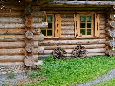 Glubokoe, BELARUS - 5 Ağustos 2020 Tarım Zapavedny Adası 2020 Gölü kıyısındaki orman