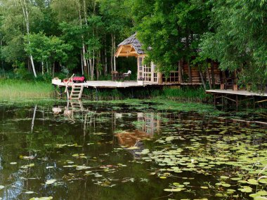 Glubokoe, BELARUS - 5 Ağustos 2020 Tarım Zapavedny Adası 2020 Gölü kıyısındaki orman