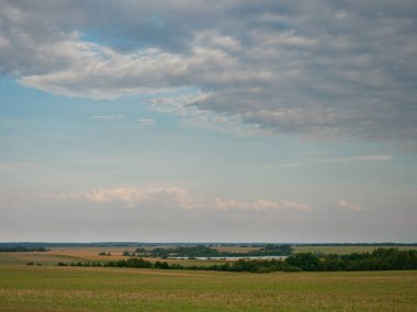 Buğday Tarlası ve Bulutlu Yaz Manzarası 2020