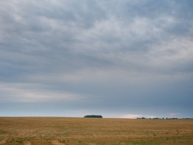 Buğday Tarlası ve Bulutlu Yaz Manzarası 2020