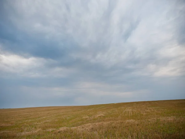 麦畑と雲と夏の風景2020 — ストック写真
