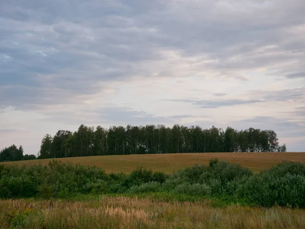 Літній Пейзаж Пшеничним Полем Хмарами 2020 — стокове фото