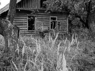 2020 sonbaharının ortasında küçük bir orman kulübesi.