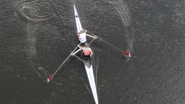 Gomel Belarus August 2020 Sport Rowing Rowing Training River — Stock Video