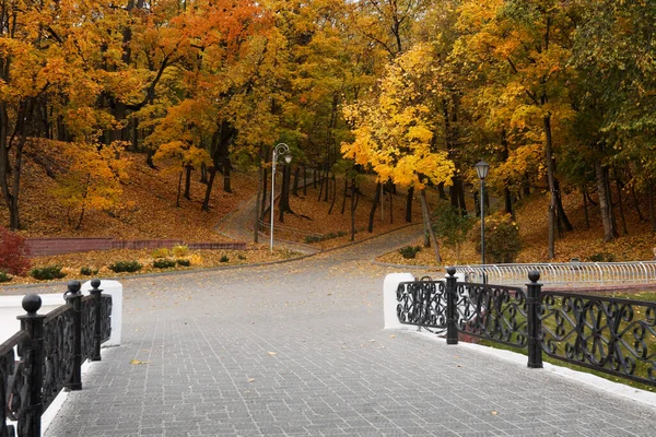 Paysage Automne Dans Parc Municipal Gomel Biélorussie 2020 — Photo