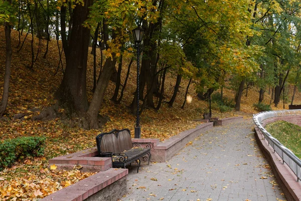 Paisagem Outono Parque Cidade Gomel Bielorrússia 2020 — Fotografia de Stock