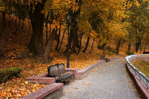 Şehir Parkında Sonbahar Manzarası Gomel Belarus 2020 — Stok fotoğraf