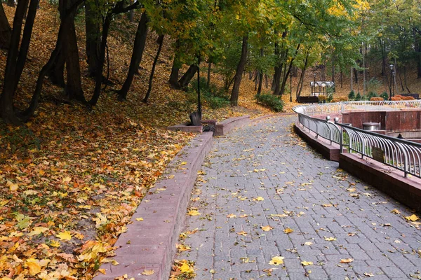 Paysage Automne Dans Parc Municipal Gomel Biélorussie 2020 — Photo