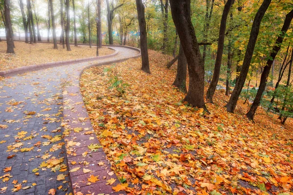 Şehir Parkında Sonbahar Manzarası Gomel Belarus 2020 — Stok fotoğraf