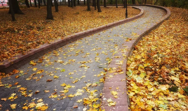 Herbstlandschaft Einem Stadtpark Gomel Weißrussland 2020 — Stockfoto