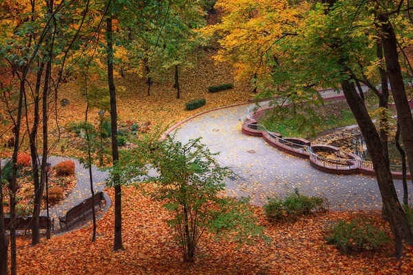 Herbstlandschaft Einem Stadtpark Gomel Weißrussland 2020 — Stockfoto