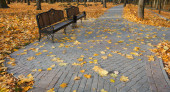 Podzimní krajina v městském parku. Gomel, Bělorusko 2020