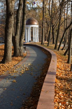Şehir parkında sonbahar manzarası. Gomel, Belarus 2020