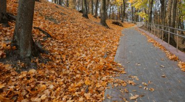 Şehir parkında sonbahar manzarası. Gomel, Belarus 2020