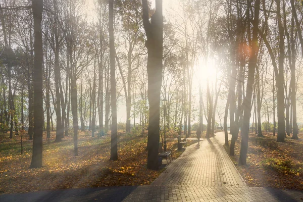 Şehir Parkında Sonbahar Manzarası Gomel Belarus 2020 — Stok fotoğraf