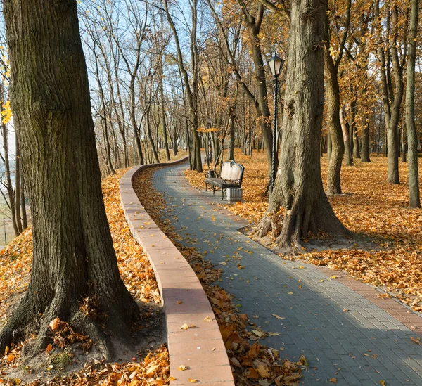 Paysage Automne Dans Parc Municipal Gomel Biélorussie 2020 — Photo