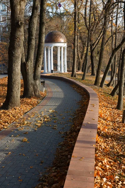 Jesienny Krajobraz Parku Miejskim Homel Białoruś 2020 — Zdjęcie stockowe