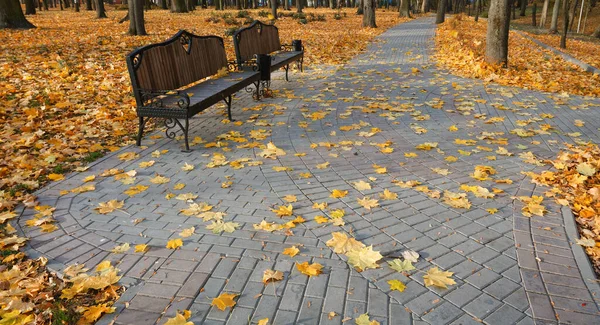 Herbstlandschaft Einem Stadtpark Gomel Weißrussland 2020 — Stockfoto