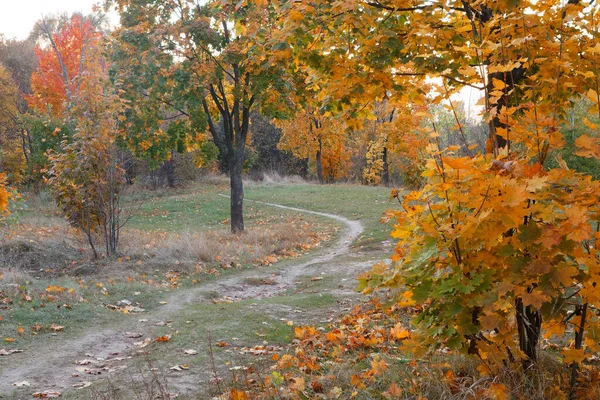 Paisaje Otoñal Parque Urbano Gomel Bielorrusia 2020 — Foto de Stock