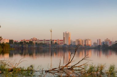 2020 'de mavi gökyüzüne karşı bataklıkta gün batımı