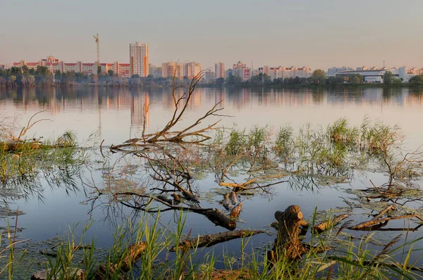 Zonsondergang Boven Het Moeras Tegen Blauwe Hemel 2020 — Stockfoto