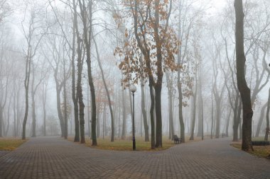 Sonbaharda sisli bir parkta rahat banklar. Gomel, Belarus 2020