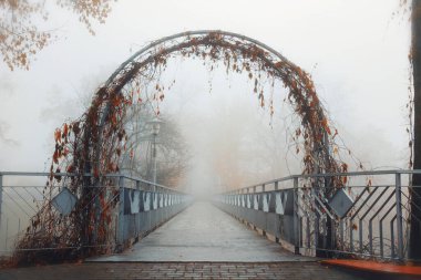 foot bridge in the fog in the fall. Gomel, Belarus 2020 clipart