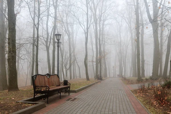 Cozy Benches City Foggy Park Fall Gomel Belarus 2020 — Stock Photo, Image