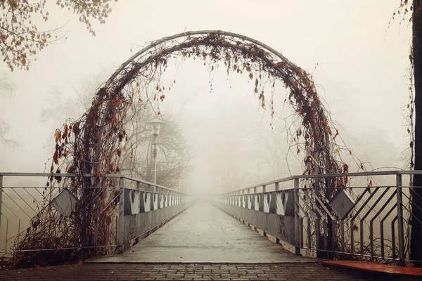 foot bridge in the fog in the fall. Gomel, Belarus 2020