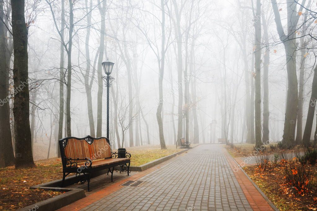 cozy benches in a city foggy park in the fall. Gomel, Belarus 2020