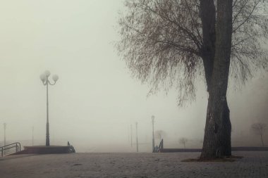 Gomel Nehri Belarus 2020 sonbahar manzaralı şehir seti