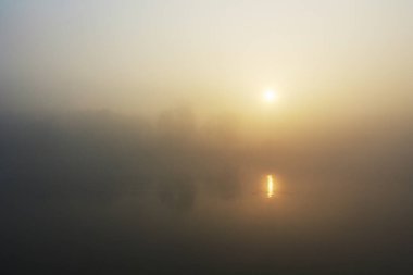 Sabah, sislerin arasından geçen güneş, rengin ve ışığın 2020 yılına ait olağandışı ve güzel etkilerini yaratır.