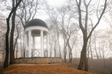 Sonbaharda sisin içinde beyaz bir çardak. Gomel, Belarus 2020