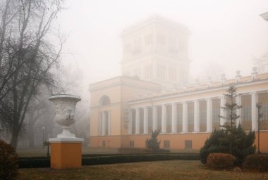 Rumyantsevler ve Paskevich 'lerin sarayı. Gomel. Beyaz Rusya. Sarayın merkez kısmının görüntüsü yüksek bir yerden. Binanın ana girişi. Saray Gomel parkında yer almaktadır. 2020