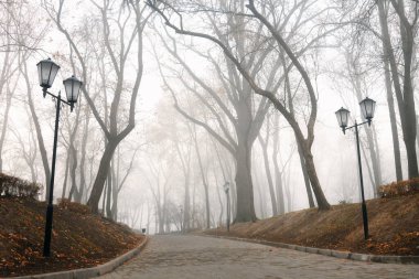 Sonbaharda sisli bir parkta, sıcacık bir sokak. Gomel, Belarus 2020