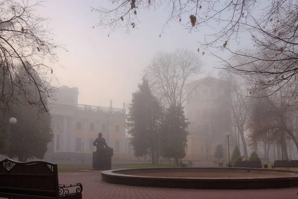 Przytulne Ławki Miejskim Mglistym Parku Jesienią Homel Białoruś 2020 — Zdjęcie stockowe