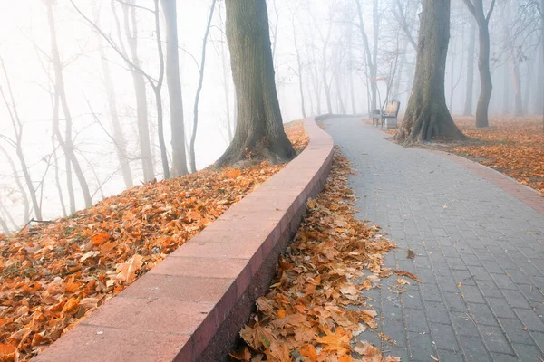 Gemütliche Bänke Einem Nebligen Stadtpark Herbst Gomel Weißrussland 2020 — Stockfoto