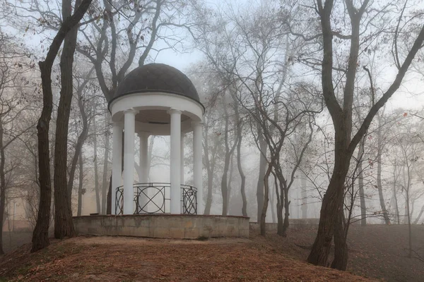 White Arbor Fog Fall Gomel Belarus 2020 — Stock Photo, Image