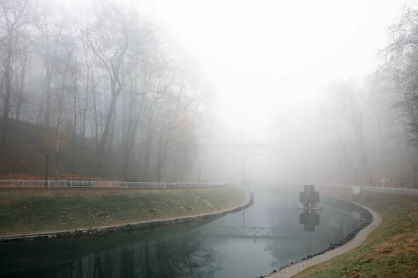 autumn pond Cozy alley in a city foggy park in the fall. Gomel, Belarus 2020