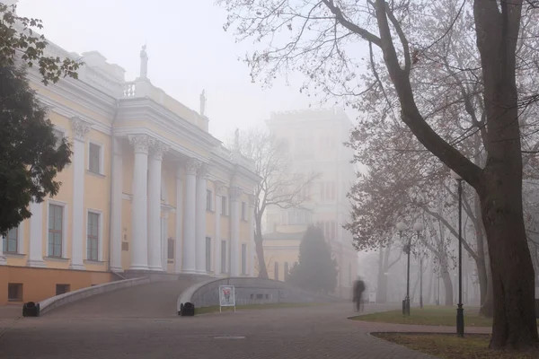 Pałac Rumyantsev Paskevichs Żomel Białoruś Widok Centralnej Części Pałacu Wysokości — Zdjęcie stockowe