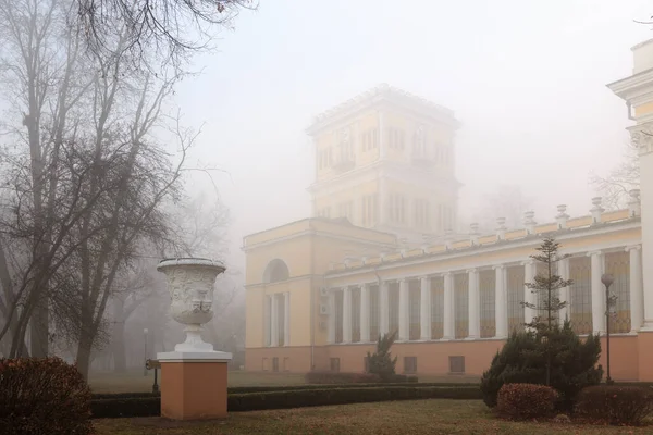 Palacio Los Rumiantsevs Paskevichs Gomel Bielorrusia Vista Parte Central Del — Foto de Stock