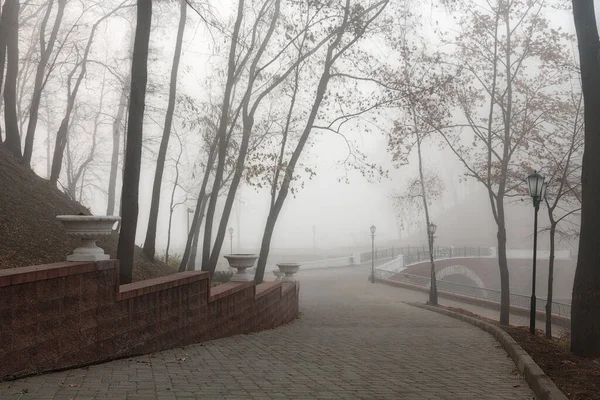 Kényelmes Sikátor Egy Városi Ködös Parkban Ősszel Gomel Fehéroroszország 2020 — Stock Fotó